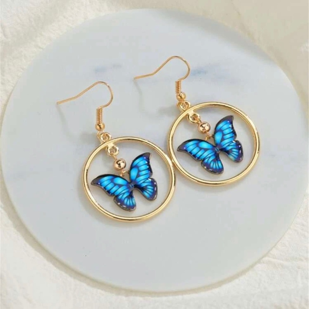 Blue charm Butterfly 🦋